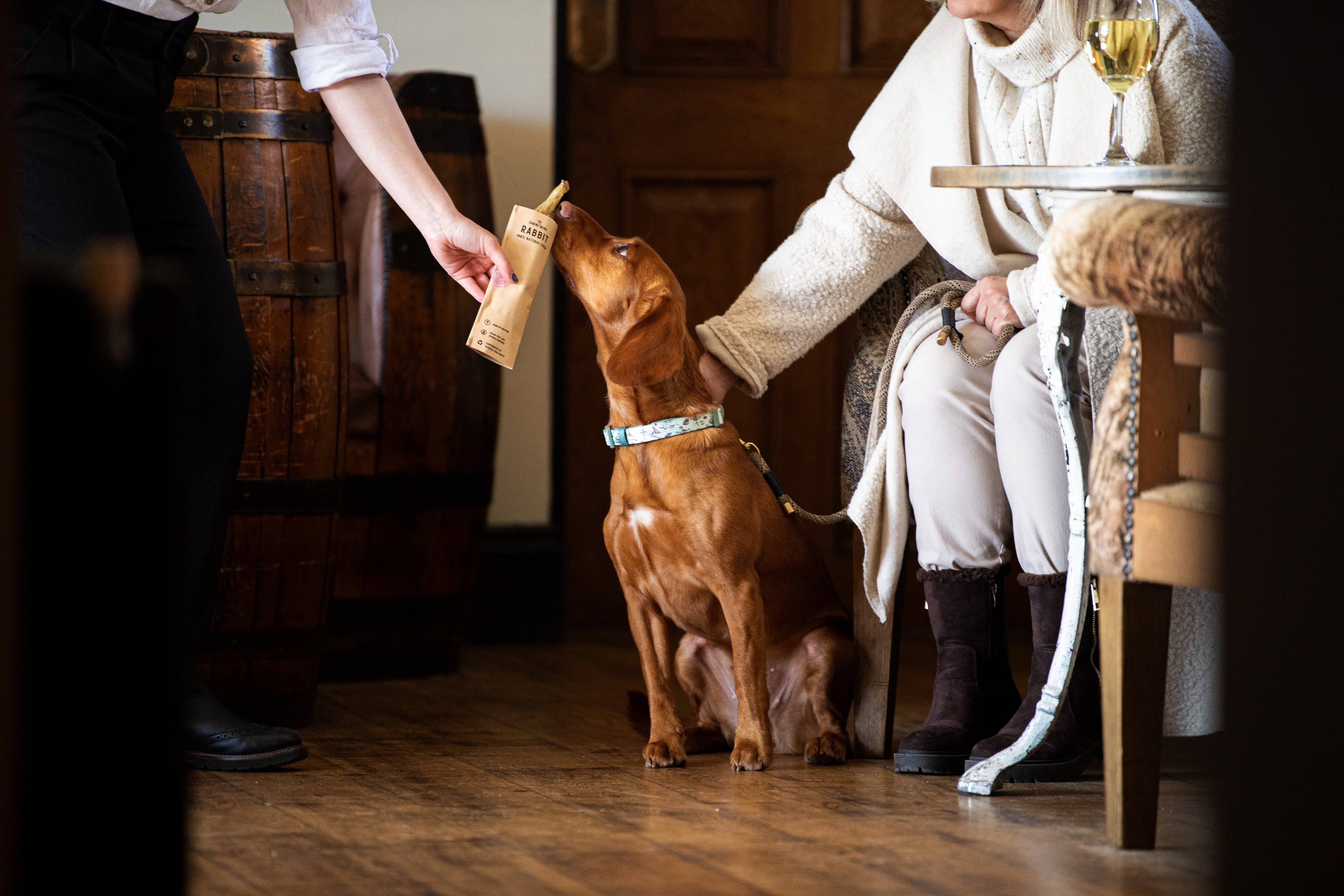 Person holding a bottle of dog shampoo next to a dog and a person sitting at a table.