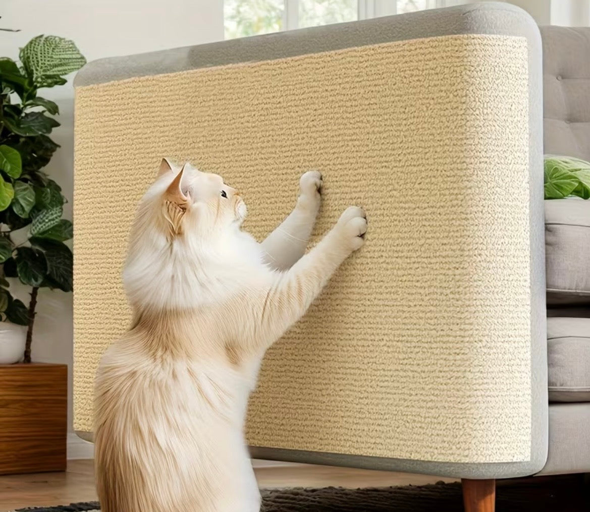 Cat using a cat scratcher in a home setting with a plant and sofa in the background.