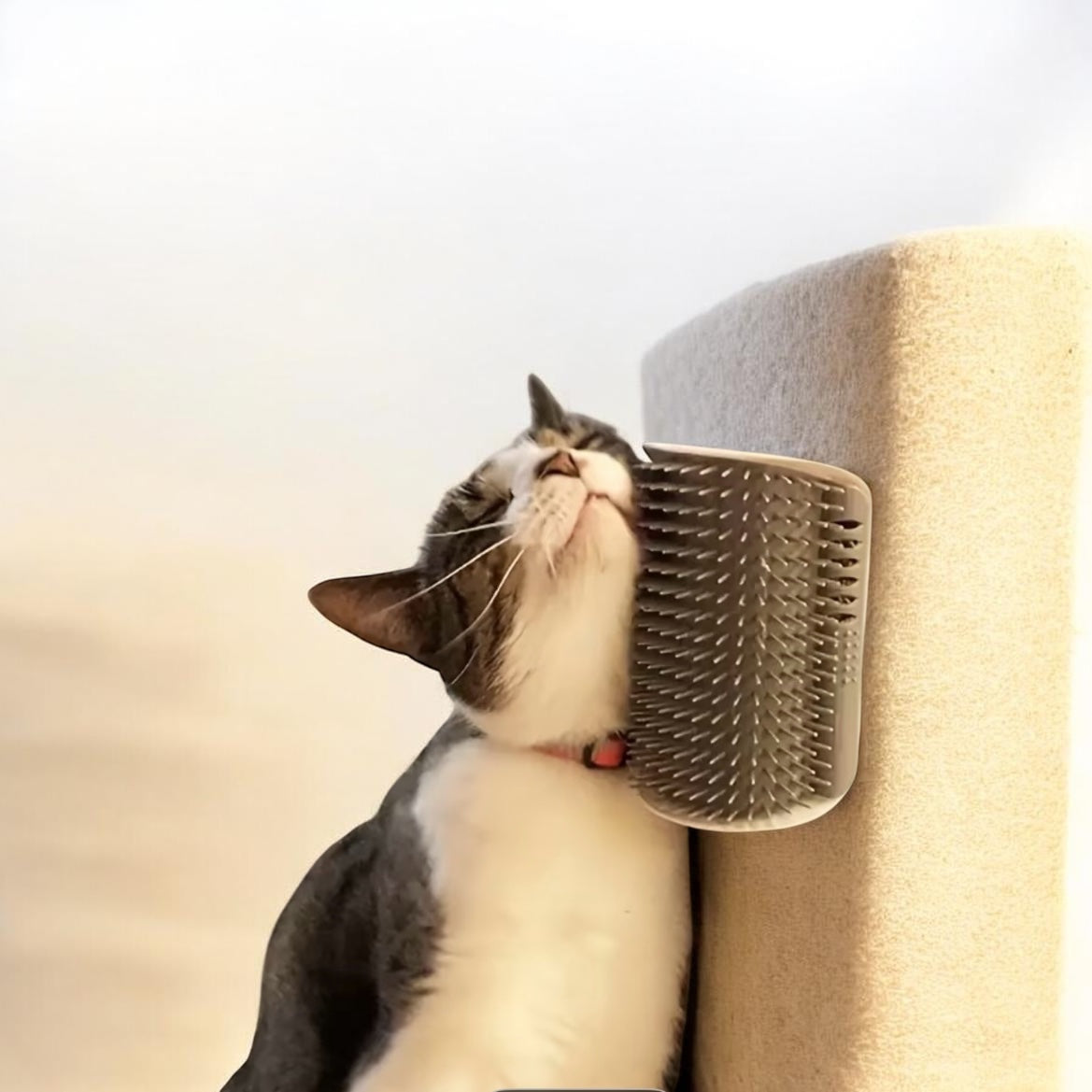 Cat using a self-grooming brush on a soft surface