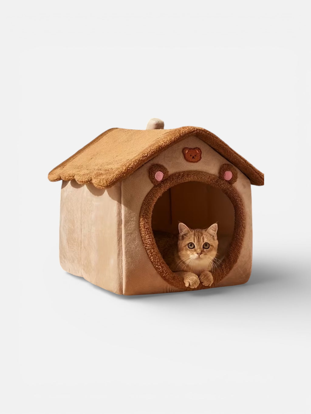 Cat peeking out from a brown pet house with a white background