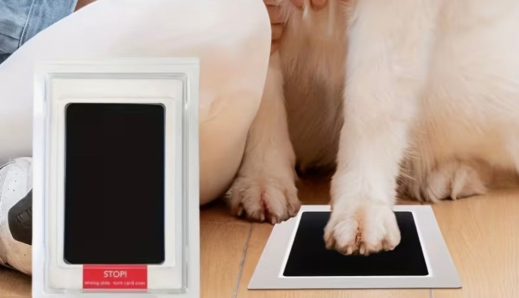 Paw Print Ink Pad | Touchless & Safe for Dogs & Cats