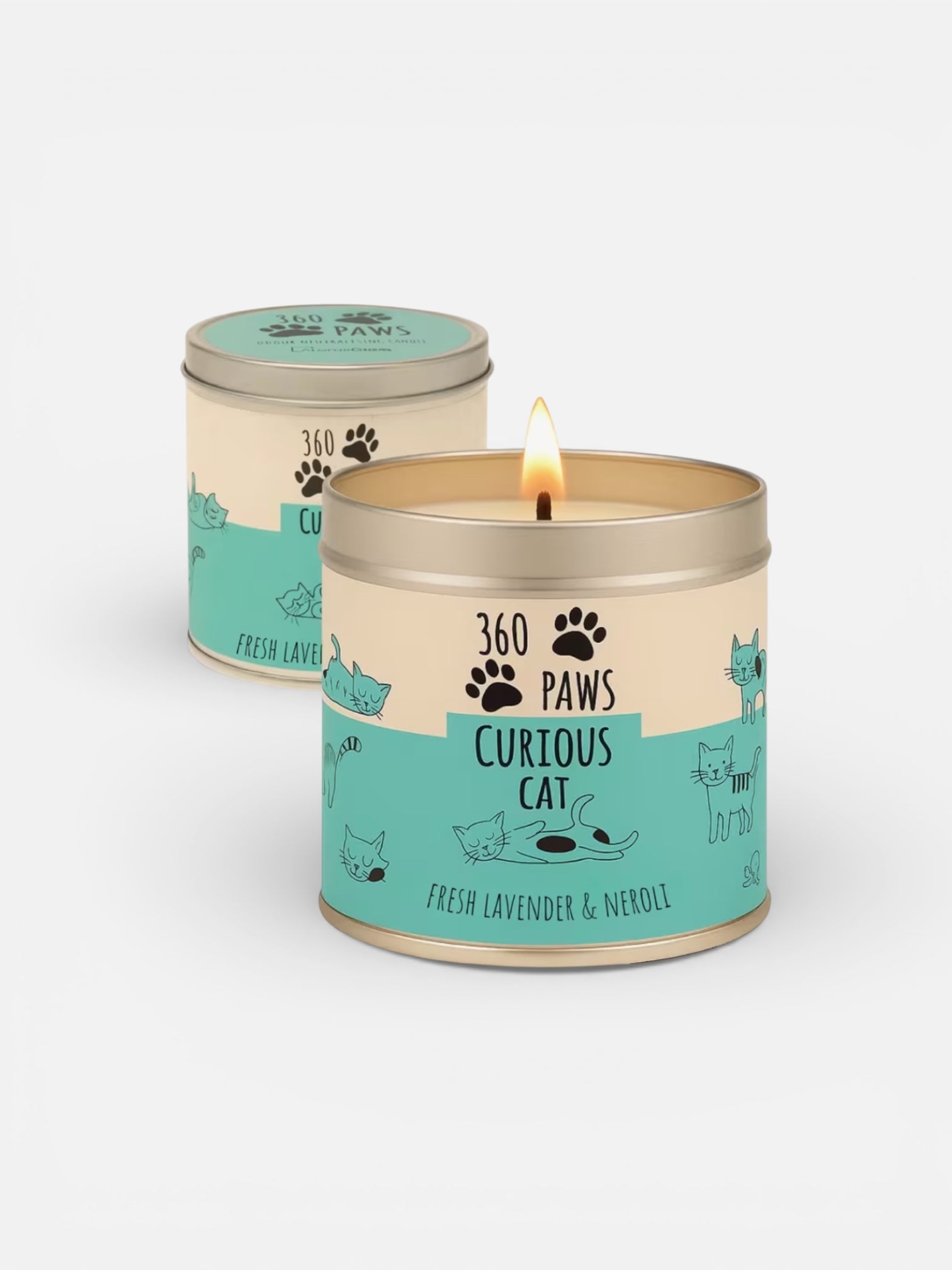 Candle in a '360 Paws' container with a lit flame on a white background