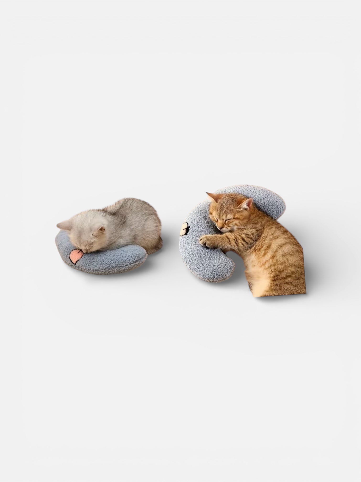 Two cats lying on gray cat-shaped cushions against a white background