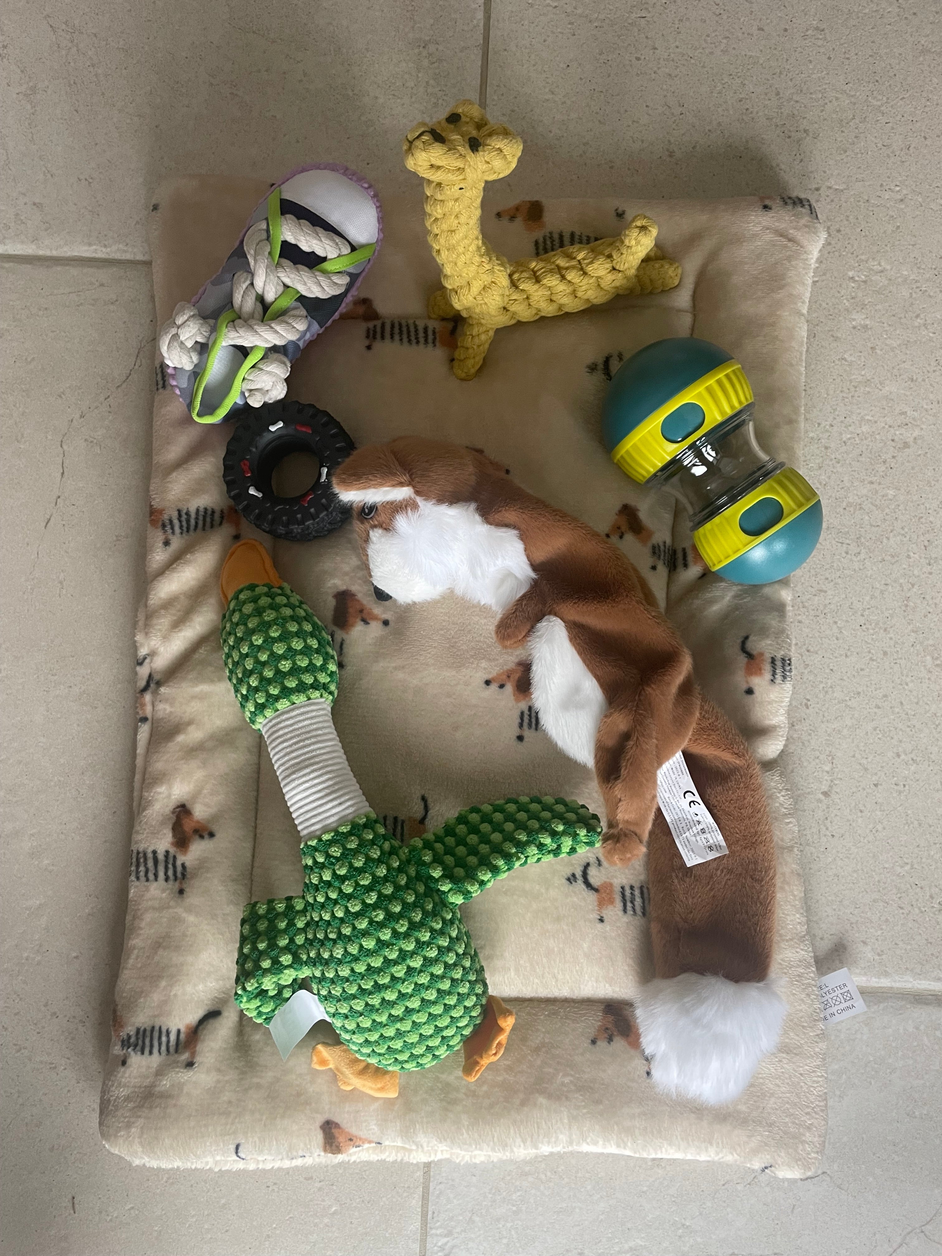 Collection of dog toys on a cushion with a neutral background