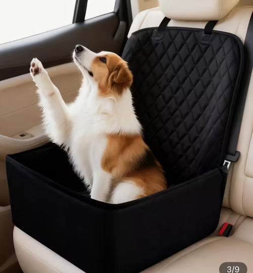 Dog sitting in a black pet seat cover in a car.