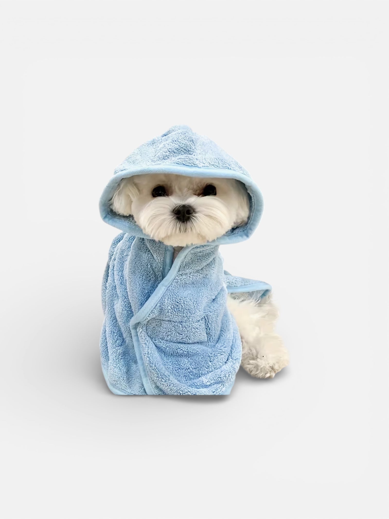 Dog in quick-dry bathrobe