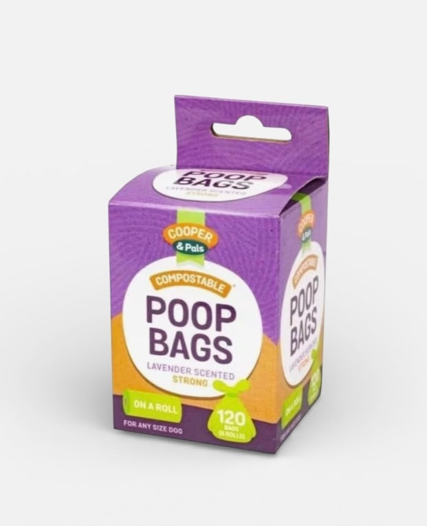 Dog Walking Essentials Kit