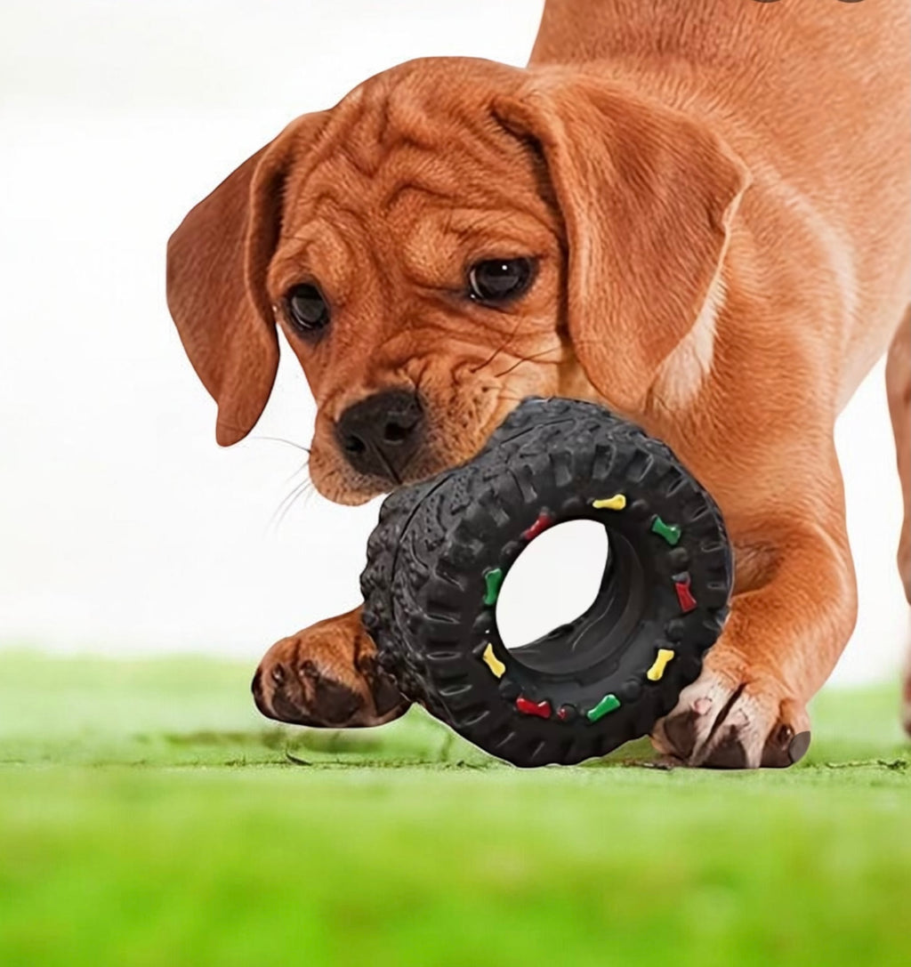 Puppy playing with a black rubber toy on grass