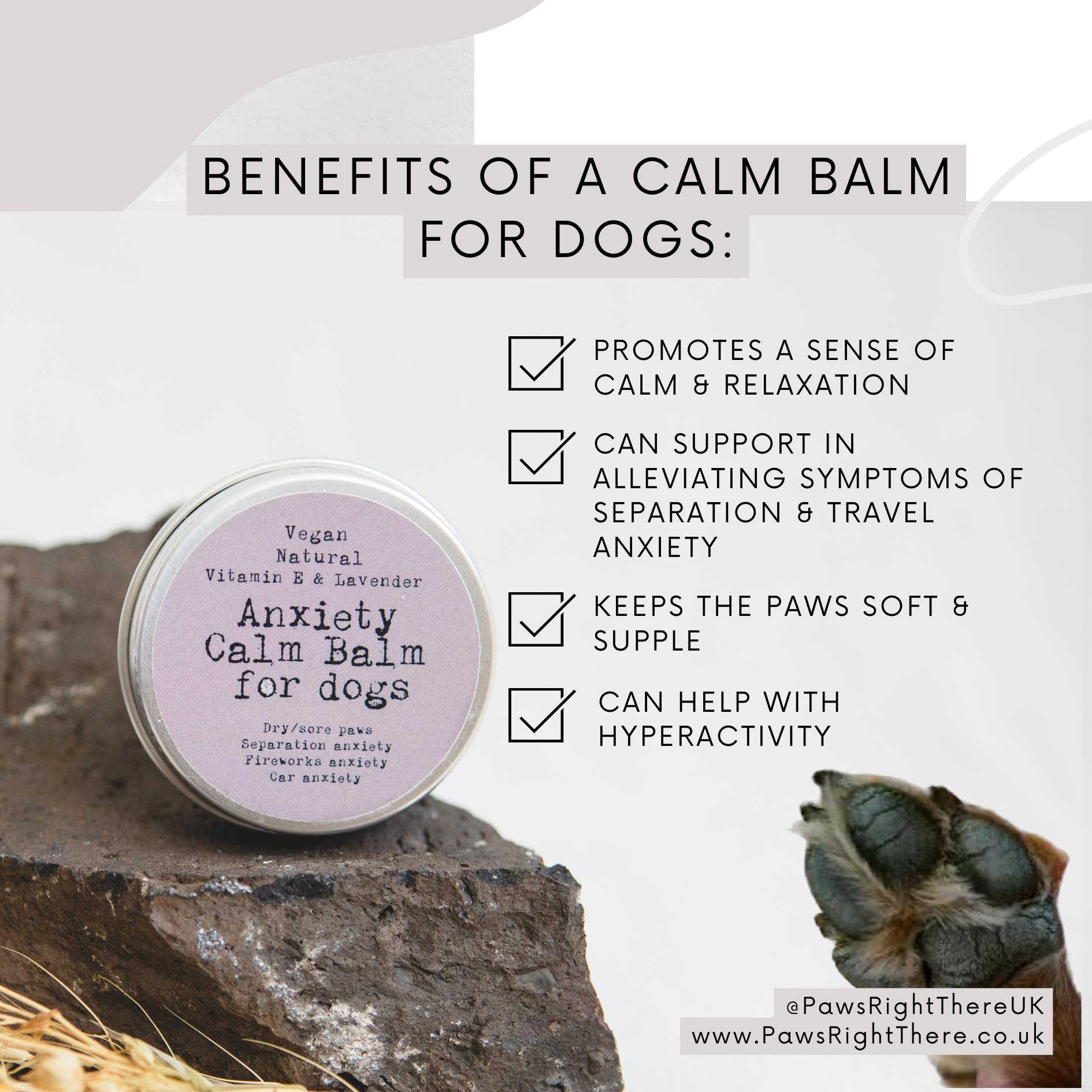 Anxiety Calm Balm for dogs with benefits listed on a natural background